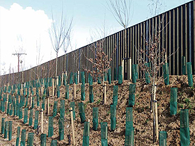 Absorbent acoustic fencing in Sunningdale