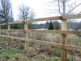 Post and Rail fencing in Leatherhead